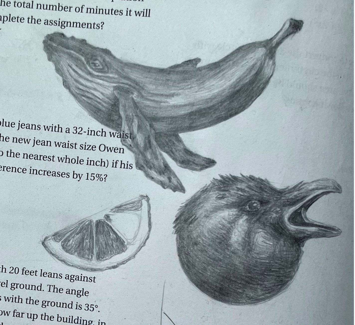 Study book art page by Tia-Jane Fowler